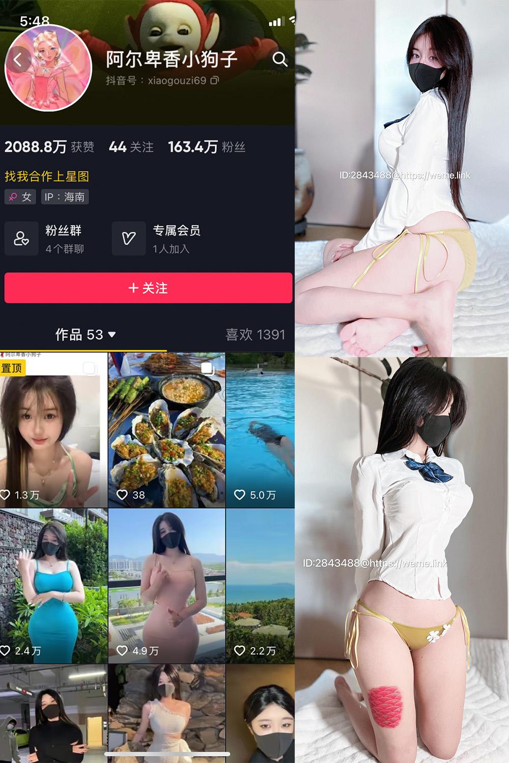 抖音 阿尔卑香小狗子 微密圈视图  NO.010期 【39P】