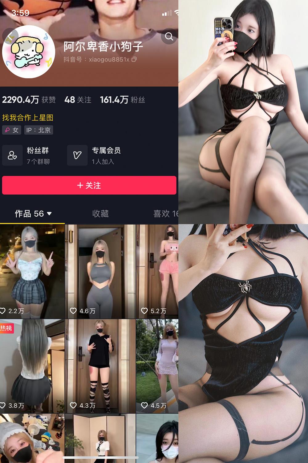 抖音 阿尔卑香小狗子 微密圈视图  NO.019期 【14P1V】