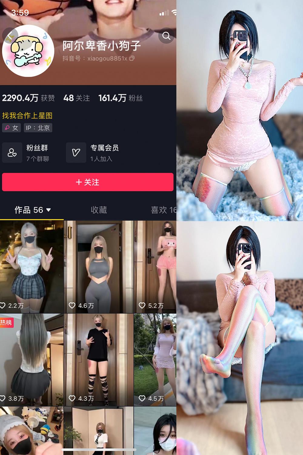 抖音 阿尔卑香小狗子 微密圈视图  NO.035期 【16P】