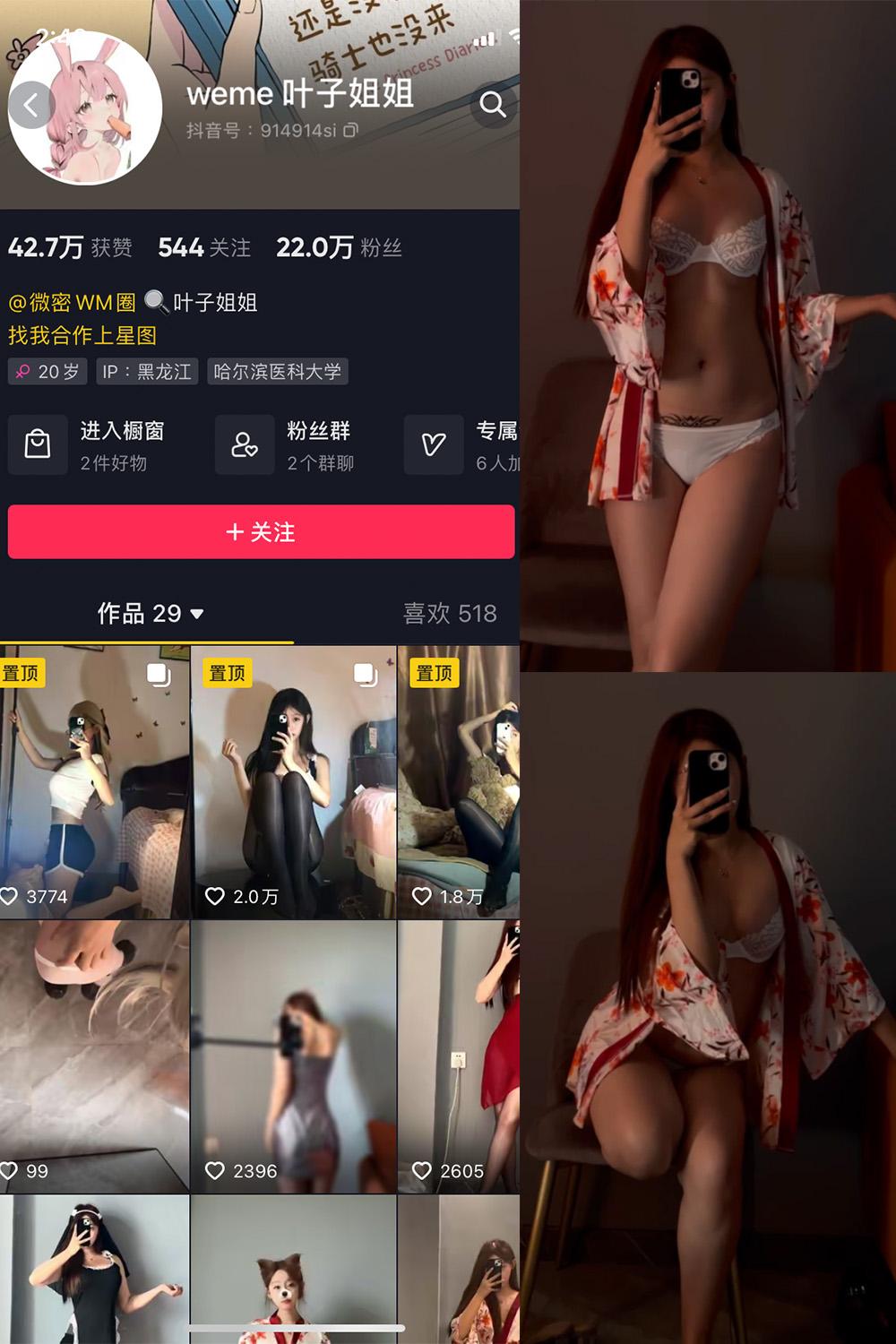 抖音 叶子姐姐 微密圈视图  NO.011期 【7V】
